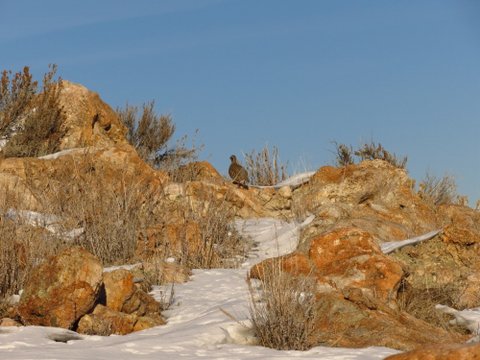 IMG_1361