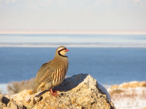 IMG_1376