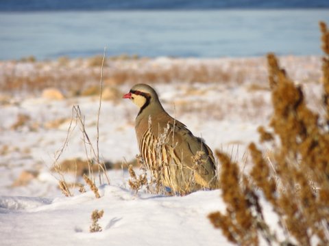 IMG_1380