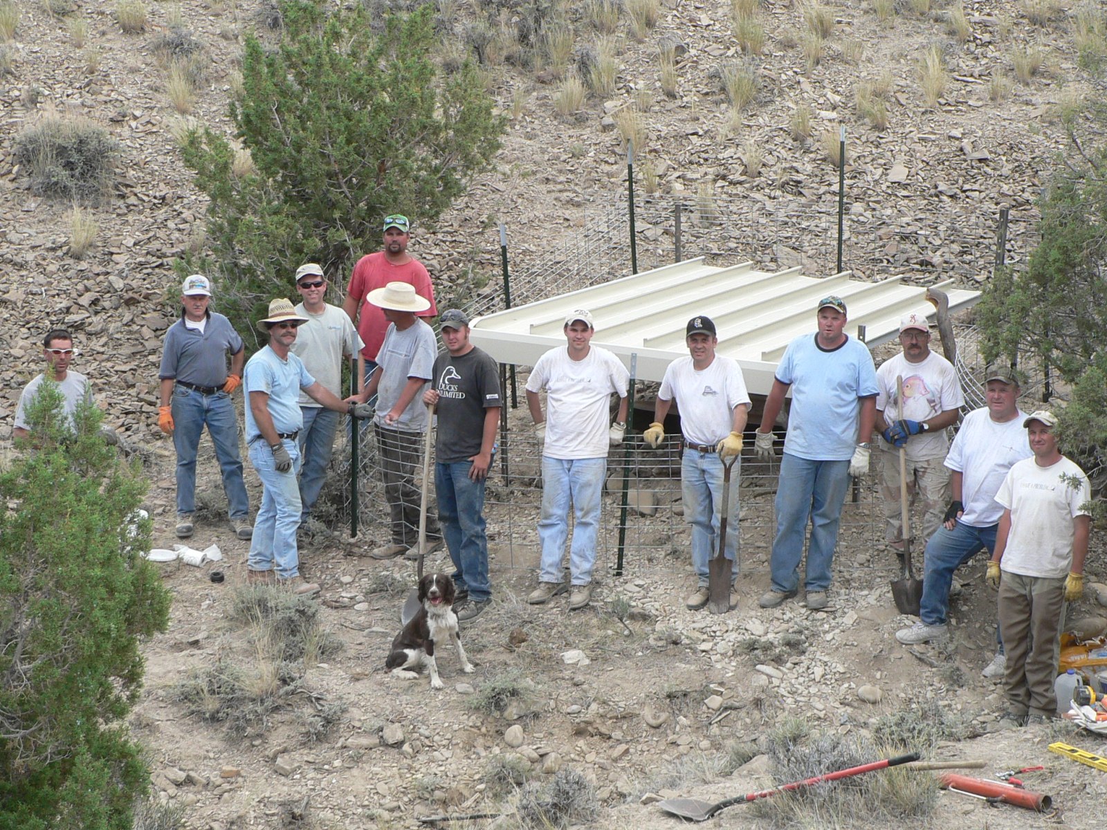 Bovines I crew end work 1