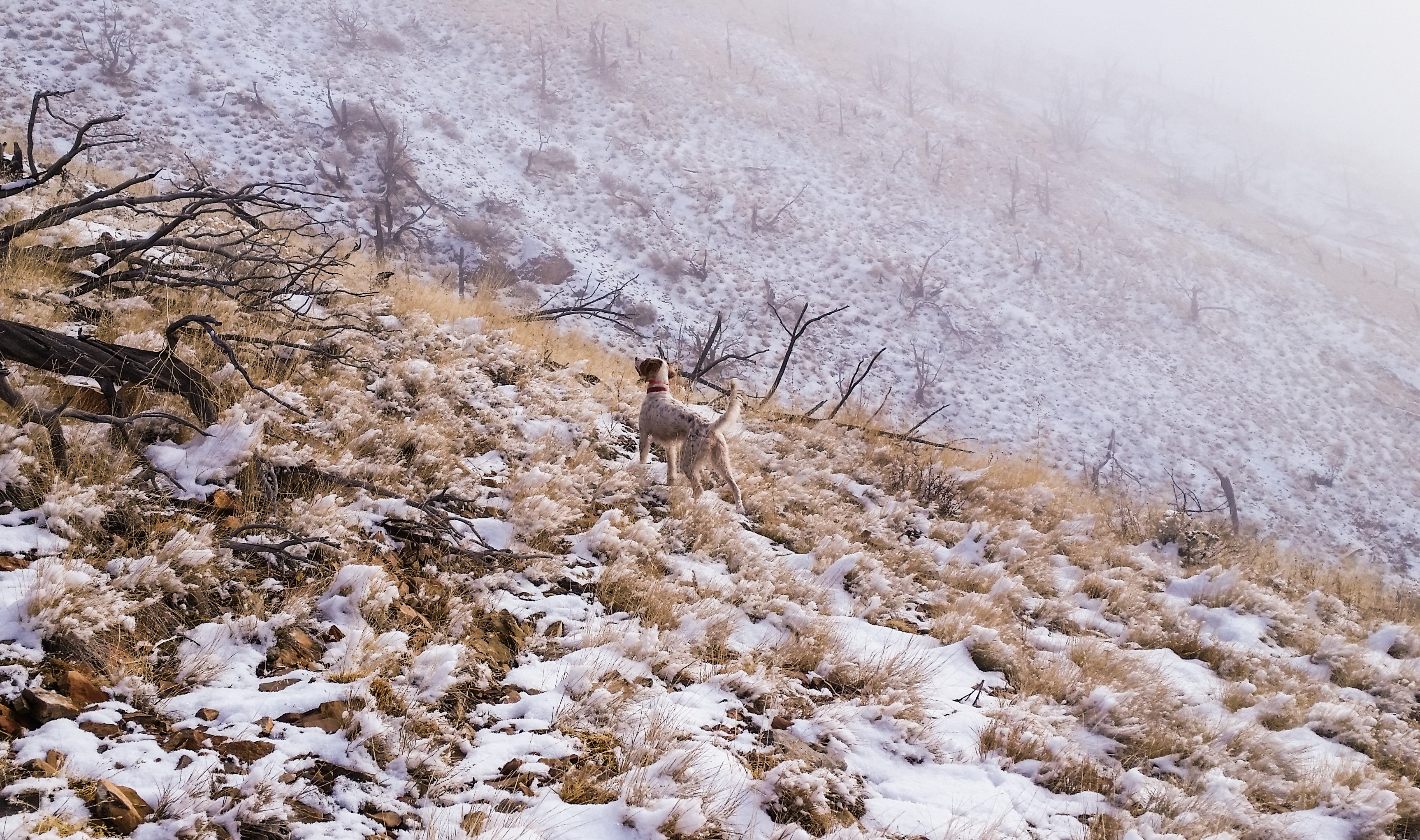 20151212_110555_edited