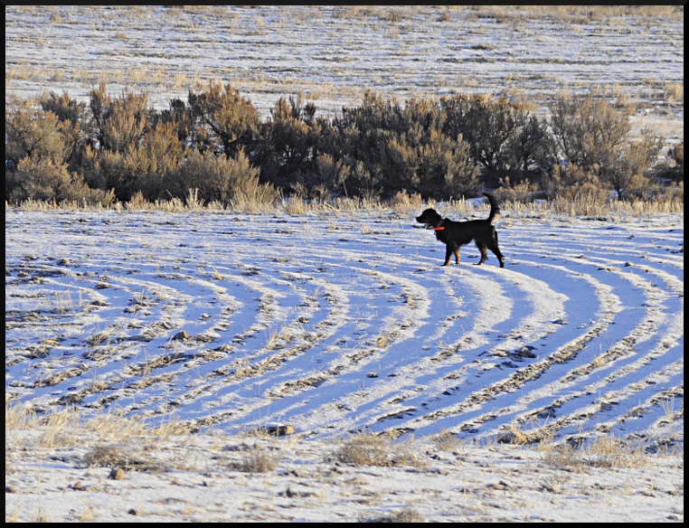 _DSC0001