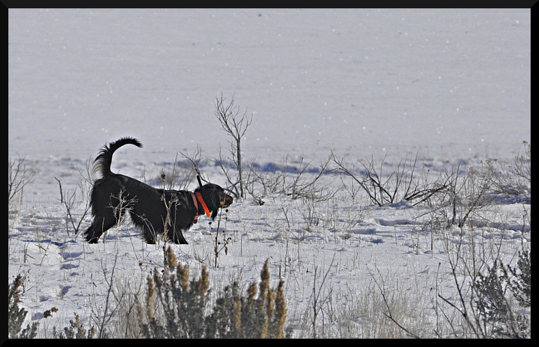 _DSC0102
