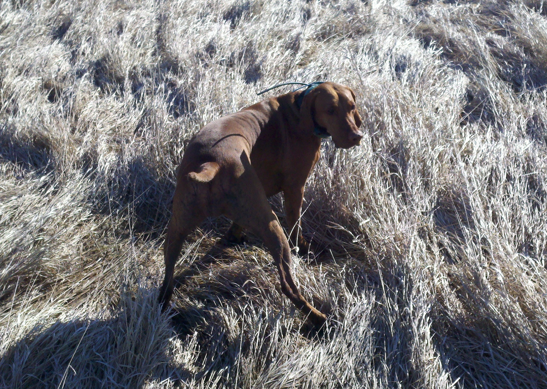Susie @ Muddy Roads